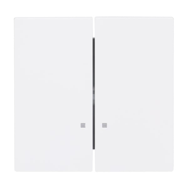 BUSCH-JAEGER - Wippe 2-fach mit kleiner transparenter Kalotte studioweiß matt - art linear