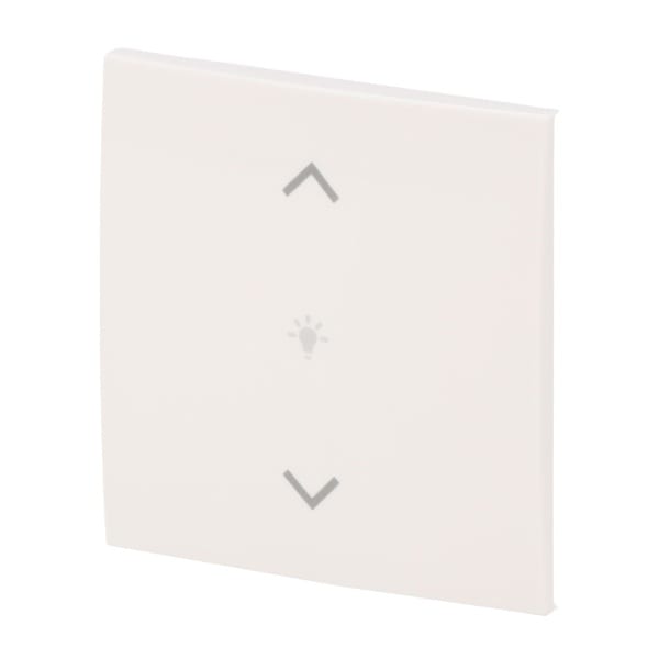 BUSCH-JAEGER - Abdeckung 1-fach für Trevion Keypad / Symbol Dimmen alpinweiß - balance SI