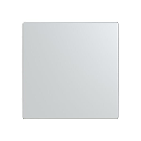 BUSCH-JAEGER - Abdeckung für Trevion-Keypad 1- bis 4-fach alusilber - Plattform 63