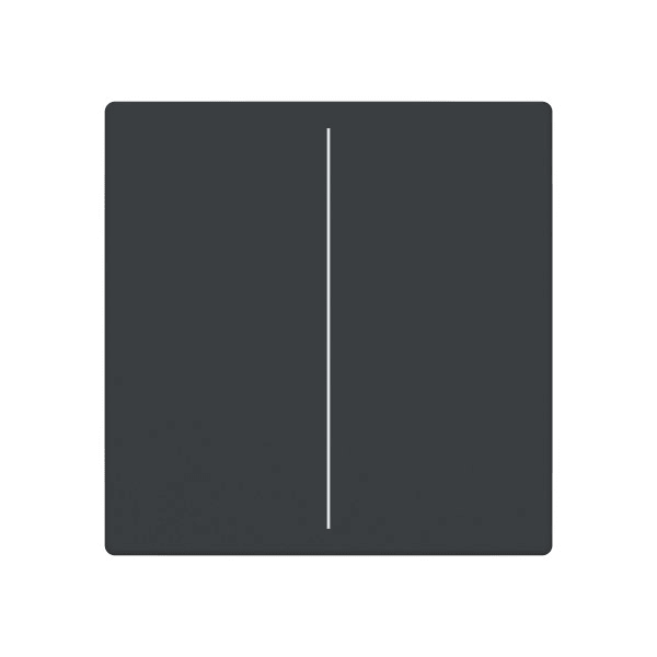 BUSCH-JAEGER - Abdeckung für Trevion-Keypad 1- bis 4-fach anthrazit - Plattform 63