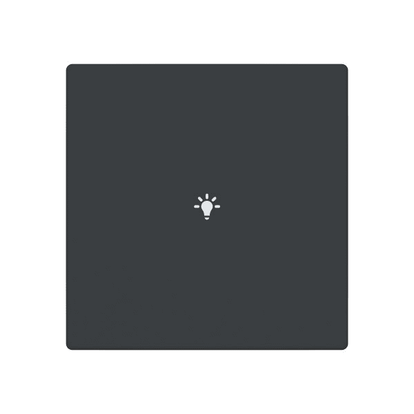 BUSCH-JAEGER - Abdeckung 1-fach für Trevion Keypad / Symbol Licht anthrazit - Plattform 63