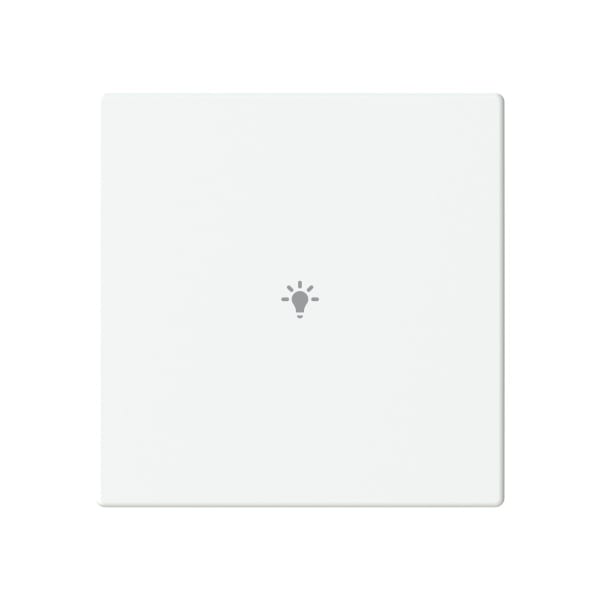 BUSCH-JAEGER - Abdeckung 1-fach für Trevion Keypad / Symbol Licht studioweiß - Plattform 63
