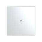 BUSCH-JAEGER - Abdeckung 1-fach für Trevion Keypad / Symbol Licht edelstahl - pur edelstahl