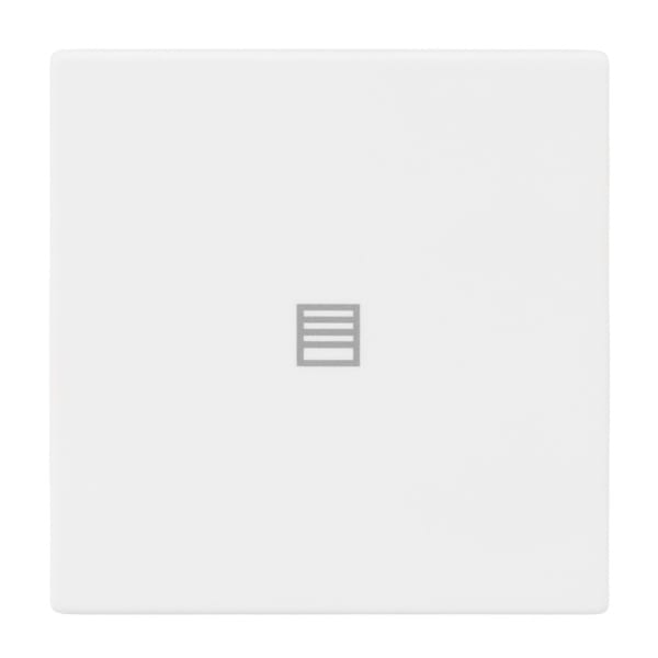 BUSCH-JAEGER - Abdeckung 1-fach für Trevion Keypad / Symbol Jalousie studiow matt- Plattform 63