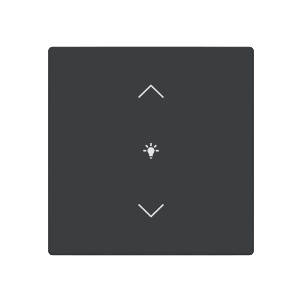 BUSCH-JAEGER - Abdeckung 1-fach für Trevion Keypad / Symbol Dimmen anthrazit - Plattform 63