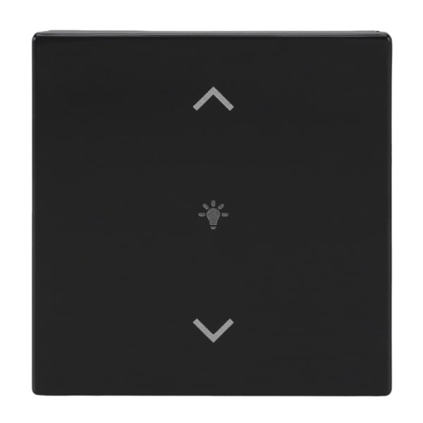 BUSCH-JAEGER - Abdeckung 1-fach für Trevion Keypad / Symbol Dimmen anthrazit - Plattform 63