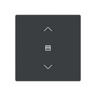 BUSCH-JAEGER - Abdeckung 1-fach für Trevion Keypad / Symbol Jalousie anthrazit - Plattform 63