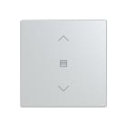BUSCH-JAEGER - Abdeckung 1-fach für Trevion Keypad / Symbol Jalousie alusilber - Plattform 63
