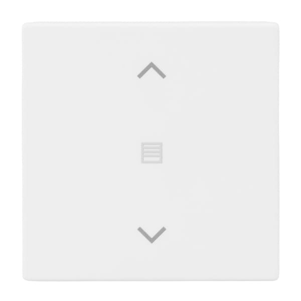 BUSCH-JAEGER - Abdeckung 1-fach für Trevion Keypad / Symbol Jalousie studiow matt- Plattform 63