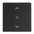 BUSCH-JAEGER - Abdeckung 1-fach für Trevion Keypad / Symbol Jalousie schwarz matt- Plattform 63