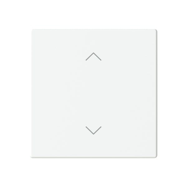 BUSCH-JAEGER - Abdeckung 1-fach für Trevion Keypad / Symbol Pfeile studioweiß matt Plattform 63