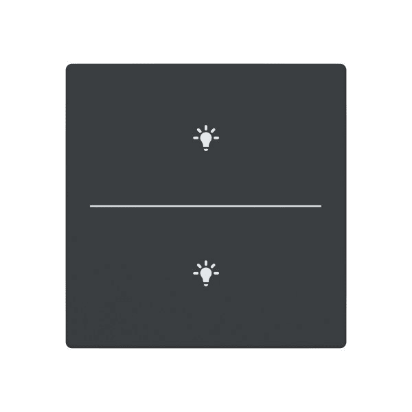 BUSCH-JAEGER - Abdeckung 2-fach für Trevion Keypad / Symbol Licht anthrazit - Plattform 63