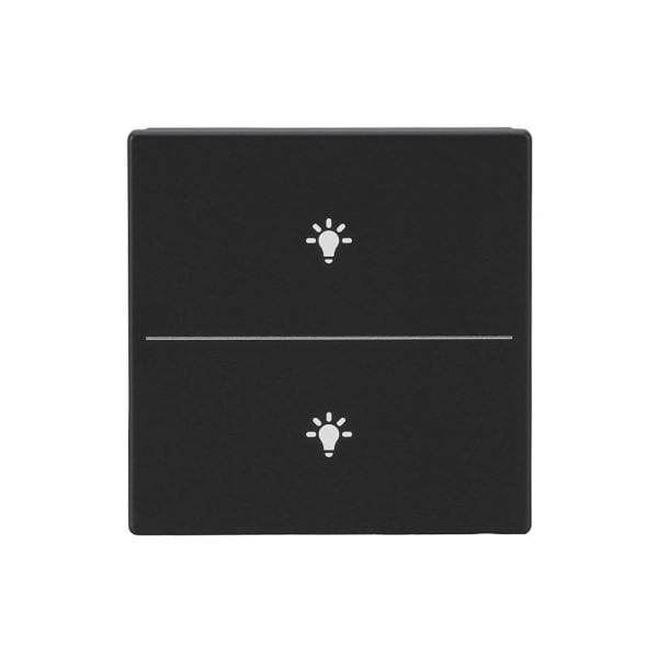 BUSCH-JAEGER - Abdeckung 2-fach für Trevion Keypad / Symbol Licht schwarz matt - Plattform 63