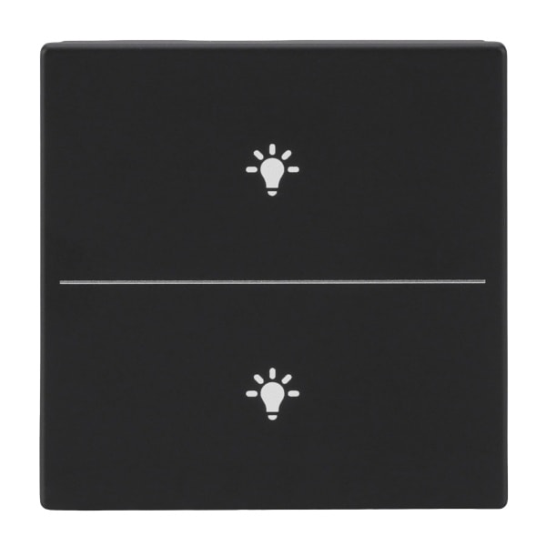 BUSCH-JAEGER - Abdeckung 2-fach für Trevion Keypad / Symbol Licht schwarz matt - Plattform 63
