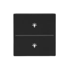 BUSCH-JAEGER - Abdeckung 2-fach für Trevion Keypad / Symbol Licht schwarz matt - Plattform 63