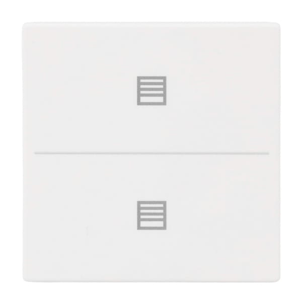 BUSCH-JAEGER - Abdeckung 2-fach für Trevion Keypad / Symbol Jalousie studiow matt- Plattform 63
