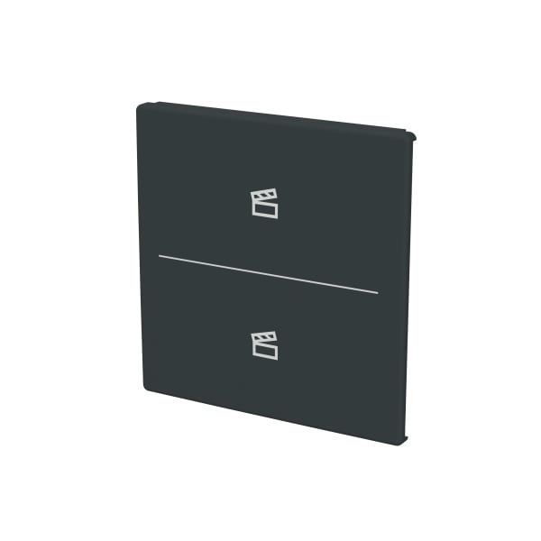 BUSCH-JAEGER - Abdeckung 2-fach für Trevion Keypad / Symbol Szene anthrazit - Plattform 63