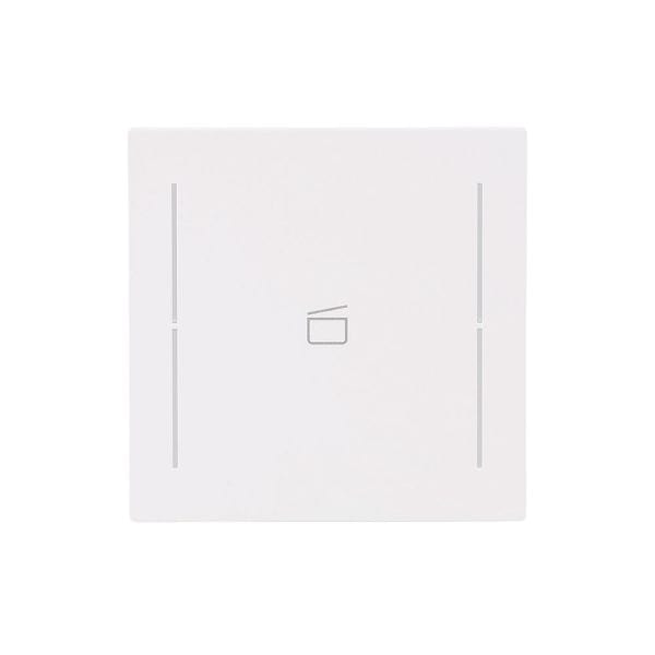 BUSCH-JAEGER - Abdeckung 1-fach für Trevion Keypad / Symbol Szene studioweiß matt - art linear