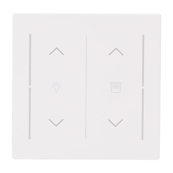 BUSCH-JAEGER - Abdeckung 2-fach Trevion Keypad / Symbol Dimmen/Jalousie studiow matt art linear