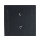 BUSCH-JAEGER - Abdeckung 2-fach für Trevion Keypad / Symbol Licht schwarz matt - art linear