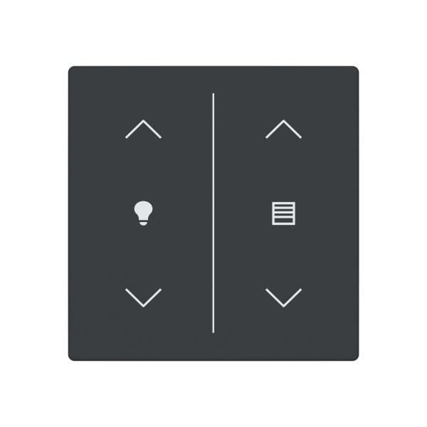 BUSCH-JAEGER - Abdeckung 2-fach Trevion Keypad/Symbol Dimmen/Jalousie anthrazit Plattform 63