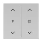BUSCH-JAEGER - Abdeckung 2-fach Trevion Keypad / Symbol Dimmen/Jalousie alusilber Plattform 63