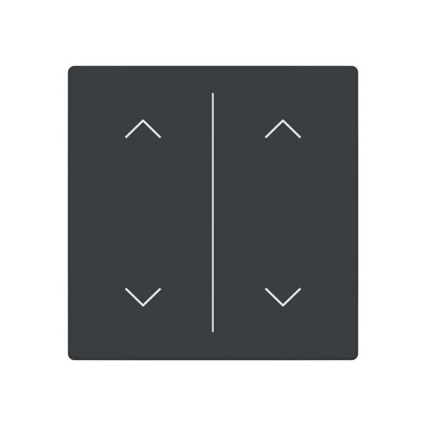 BUSCH-JAEGER - Abdeckung 2-fach für Trevion Keypad / Symbol Pfeile anthrazit - Plattform 63