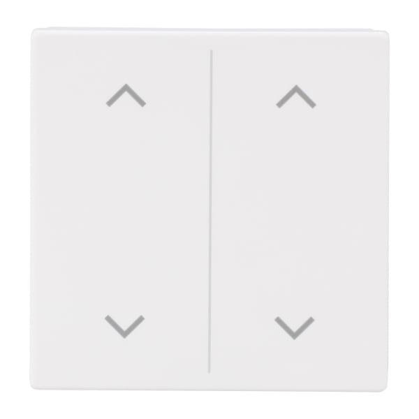 BUSCH-JAEGER - Abdeckung 2-fach für Trevion Keypad / Symbol Pfeile studioweiß - Plattform 63