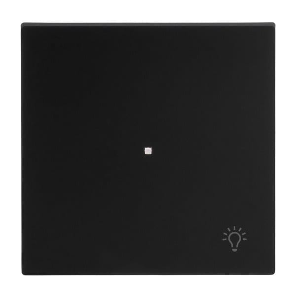 BUSCH-JAEGER - Wippe 1-fach für flex f@h KNX mit Symbol Licht schwarz matt - art linear