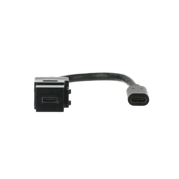 BUSCH-JAEGER - Kabelpeitsche USB Keystone USB-Stecker mit USB C schwarz