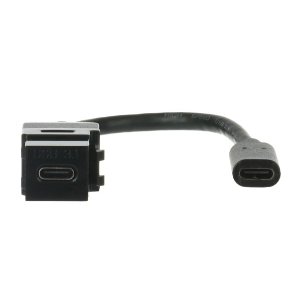 BUSCH-JAEGER - Kabelpeitsche USB Keystone USB-Stecker mit USB C schwarz