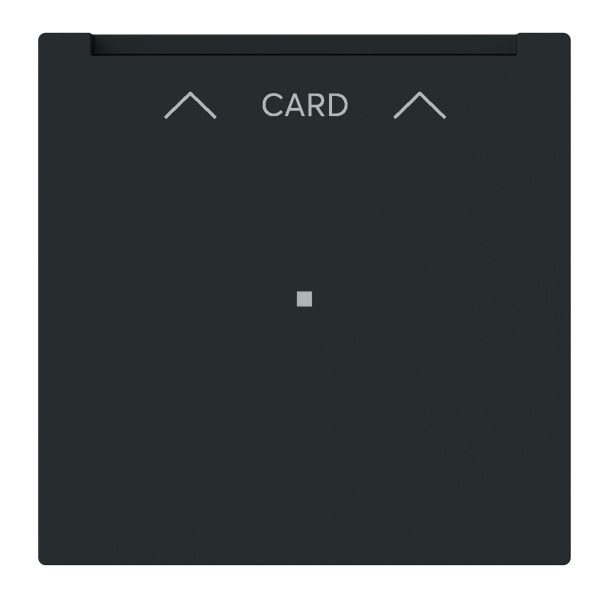 BUSCH-JAEGER - Cardschalter-Einsatz mit Zentralscheibe mit Licht schwarz matt - art linear