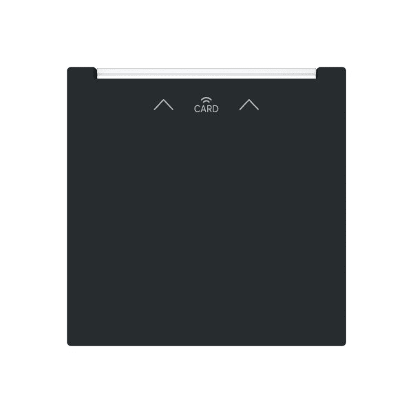 BUSCH-JAEGER - Zentralscheibe mit Aufdruck Pfeile CARD RFID schwarz matt - art linear