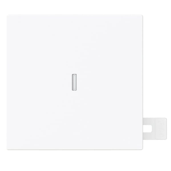 BUSCH-JAEGER - Wippe 1-fach mit kleiner transparenter Kalotte IP44 studioweiß - art linear