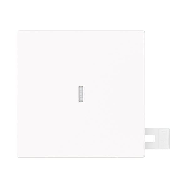 BUSCH-JAEGER - Wippe 1-fach mit kleiner transparenter Kalotte IP44 studioweiß matt - art linear