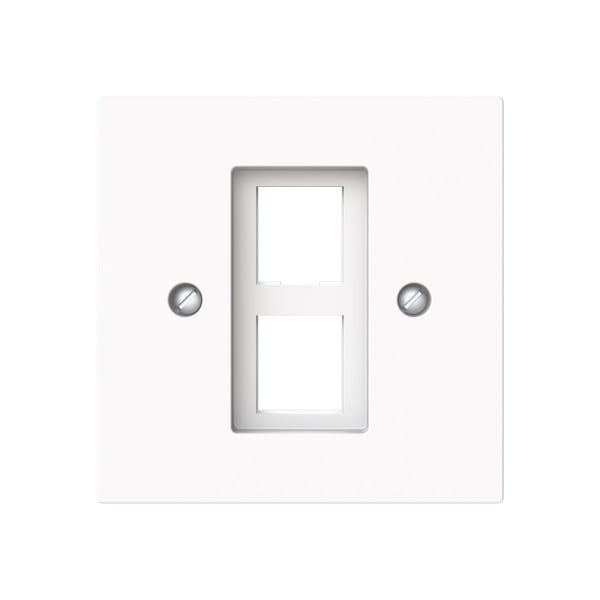 BUSCH-JAEGER - Zentralscheibe mit Tragring Modular-Jack-Einsatz 2-fach studiow matt art linear
