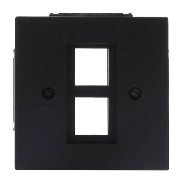 BUSCH-JAEGER - Zentralscheibe mit Tragring Modular-Jack-Einsatz 2-fach schwarz matt art linear