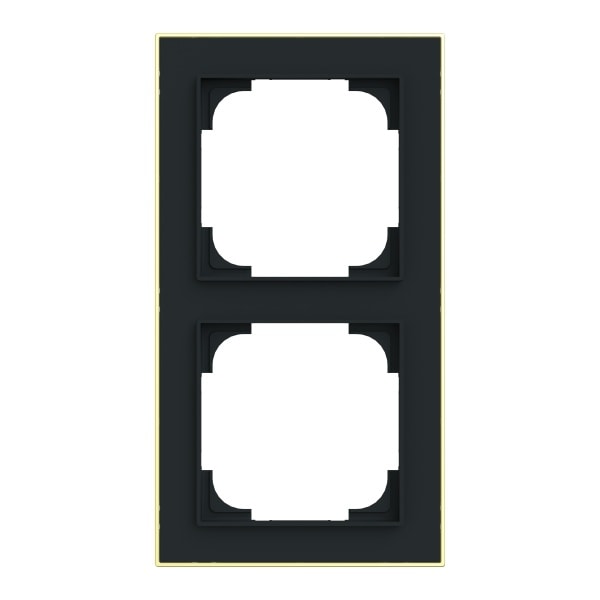 BUSCH-JAEGER - Abdeckrahmen mit Dekorring 2-fach schwarz matt/gold - Busch-art linear
