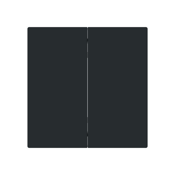 BUSCH-JAEGER - Smart Switch 2-fach Wippe schwarz matt - Busch-art linear