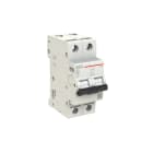 AEG - Leitungsschutzschalter - EN100 - 2P - 25 A - D10 kA