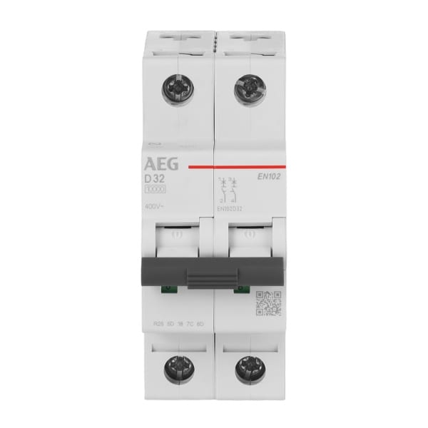 AEG - Leitungsschutzschalter - EN100 - 2P - 32 A - D10 kA