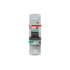 ABB - HLS-Sicherungsautomat 1-polig Charakteristik C Bemessungsstrom 100A 50kA/400VAC