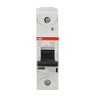 ABB - HLS-Sicherungsautomat 1-polig Charakteristik D Bemessungsstrom 100A 50kA/400VAC