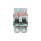 ABB - HLS-Sicherungsautomat 2-polig Charakteristik D Bemessungsstrom 100A 50kA/400VAC