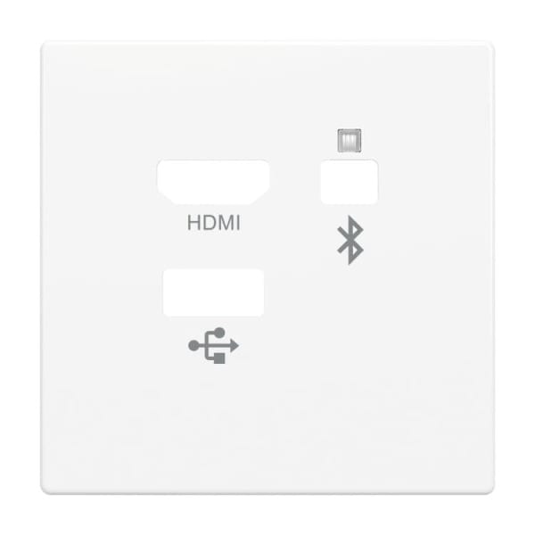 BUSCH-JAEGER - Zentralscheibe Multimedia Connector 3-fach studioweiß - Plattform 63