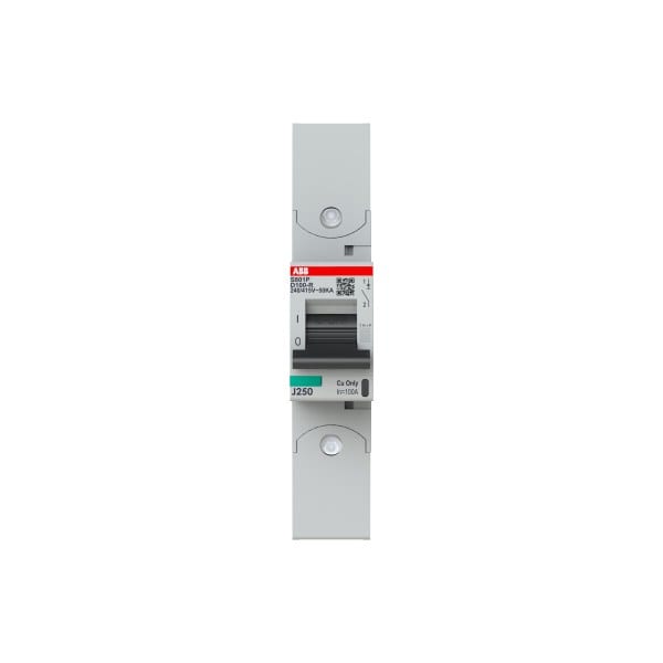 ABB - HLS-Sicherungsautomat 1-polig Char D 100A 50kA/400VAC Ringkabelschuhanschluss