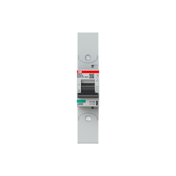 ABB - HLS-Sicherungsautomat 1-polig Char K 100A 50kA/400VAC Ringkabelschuhanschluss