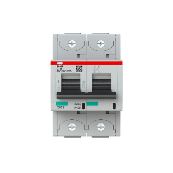 ABB - HLS-Sicherungsautomat 2-polig Charakteristik D Bemessungsstrom 125A 50kA/400VAC