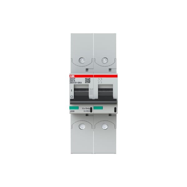 ABB - HLS-Sicherungsautomat 2-polig Char D 80A 50kA/400VAC Ringkabelschuhanschluss