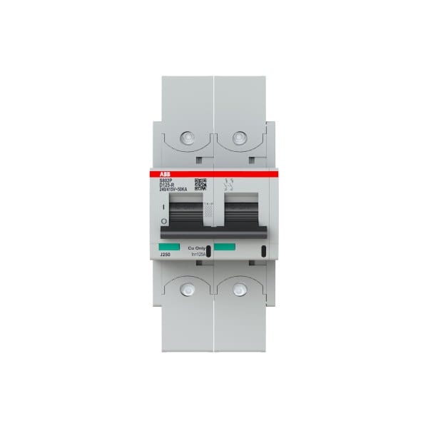 ABB - HLS-Sicherungsautomat 2-polig Char D 125A 50kA/400VAC Ringkabelschuhanschluss